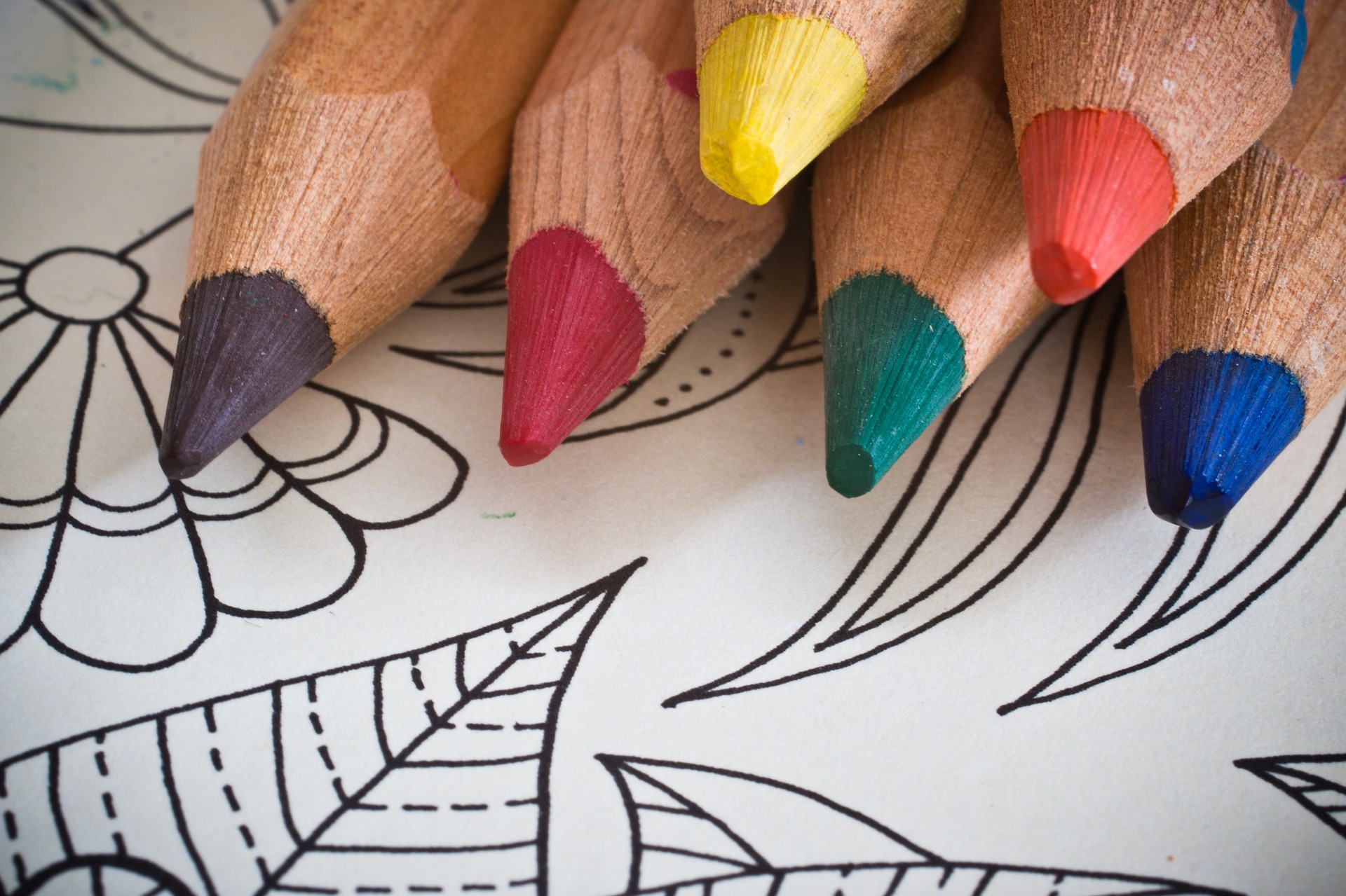 National Coloring Book Day: Celebrate this day of coloring with one of  these great coloring books 